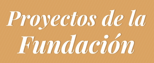 Proyectos Fundación