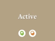 Centro Solera Active On