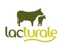 Lacturale