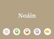 banner noain